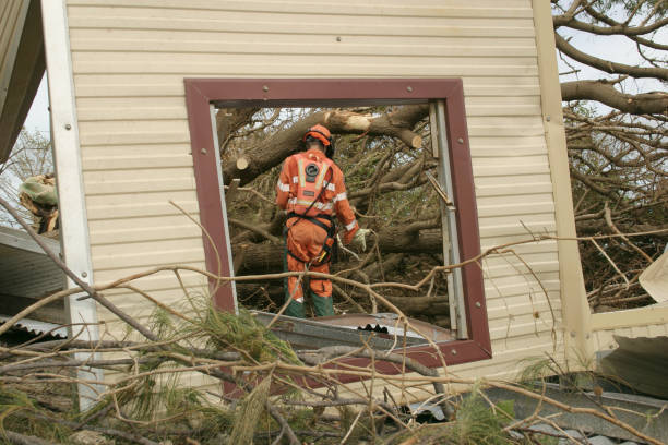 Best Tree Mulching  in Spring Lake, NJ