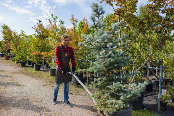 Best Lawn Watering Services  in Spring Lake, NJ